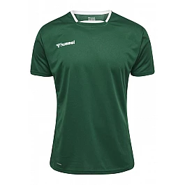Футболка AUTHENTIC POLY JERSEY S/S 204-919-6140-S Взрослые Мужской ЗЕЛЁНЫЙ