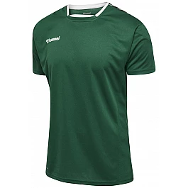 Футболка AUTHENTIC POLY JERSEY S/S 204-919-6140-S Взрослые Мужской ЗЕЛЁНЫЙ