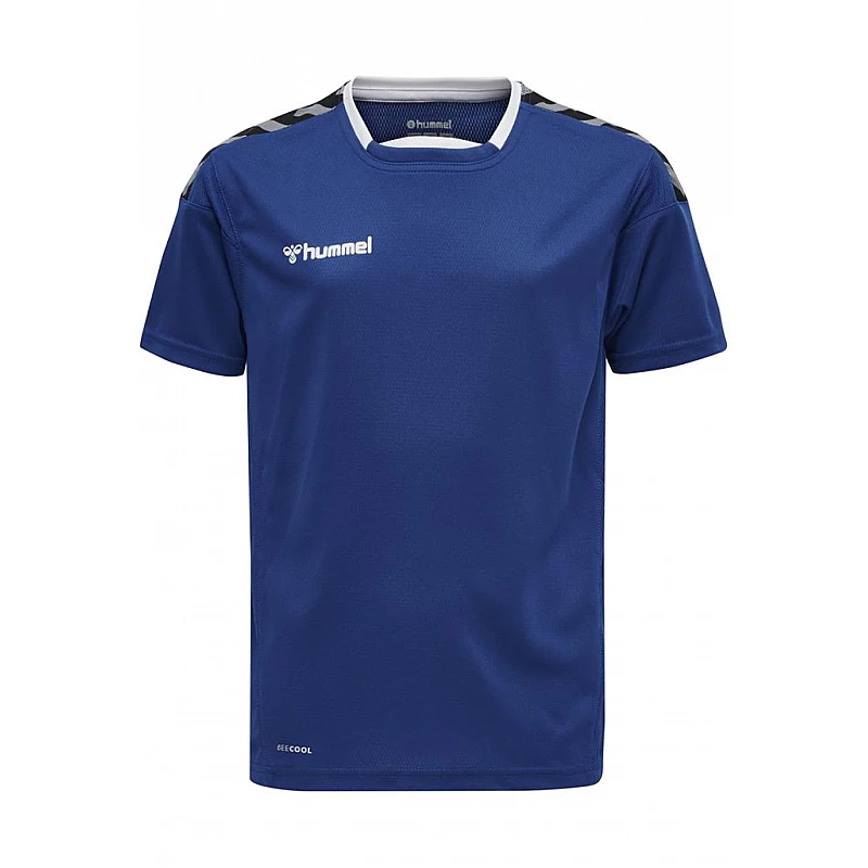 Футболка AUTHENTIC POLY JERSEY S/S 204-919-7045-M Взрослые Мужской СИНИЙ