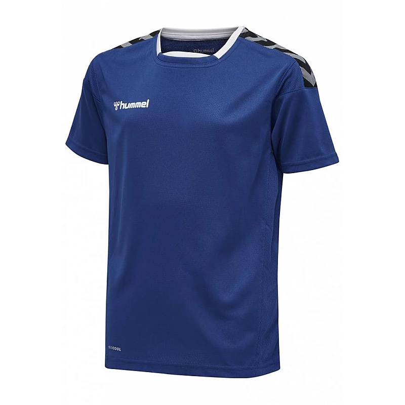 Футболка AUTHENTIC POLY JERSEY S/S 204-919-7045-M Взрослые Мужской СИНИЙ