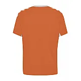 Футболка дитяча CORE KIDS TEAM JERSEY S / S 203-437-5006-164 Підлітки і діти Унісекс ПОМАРАНЧЕВИЙ
