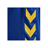 Шорти жіночі CORE WOMENS SHORTS 011-086-7725-M Дорослі Жіноча СИНІЙ