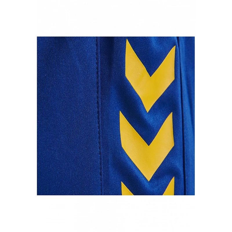 Шорти жіночі CORE WOMENS SHORTS 011-086-7725-S Дорослі Жіноча СИНІЙ