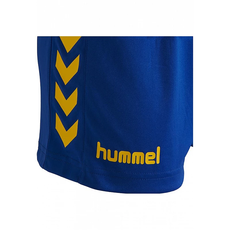 Шорти жіночі CORE WOMENS SHORTS 011-086-7725-L Дорослі Жіноча СИНІЙ