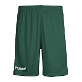 Шорти дитячі CORE POLY SHORTS 111-083-6141-164-176 Підлітки і діти Унісекс ЗЕЛЕНИЙ