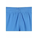 Шорти CORE POLY SHORTS 011-083-8643-S Дорослі Чоловіча БЛАКИТНИЙ