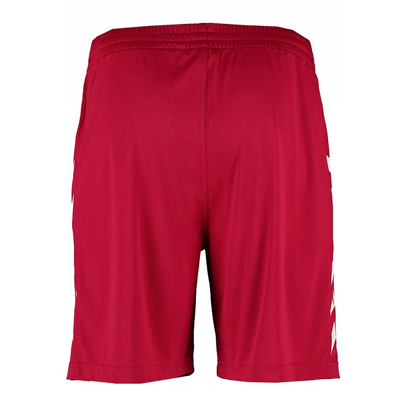 Шорты CORE POLY SHORTS 011-083-3602-L Взрослые Мужской МАЛИНОВЫЙ