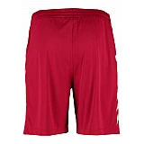 Шорты CORE POLY SHORTS 011-083-3602-S Взрослые Мужской МАЛИНОВЫЙ