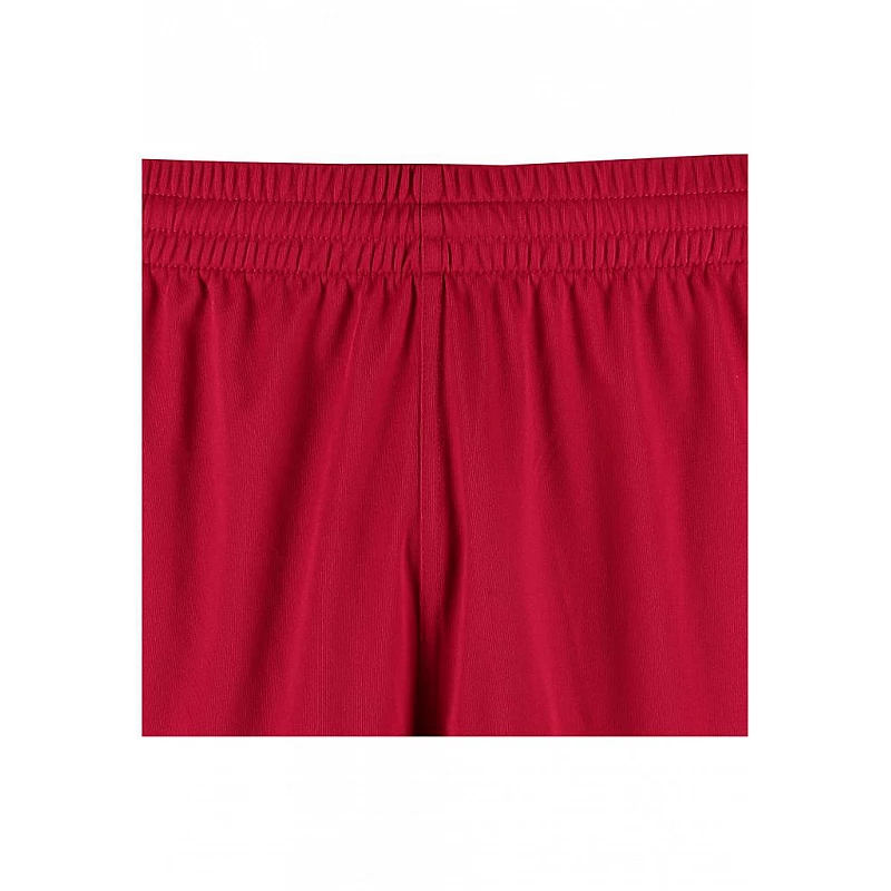 Шорты CORE POLY SHORTS 011-083-3602-S Взрослые Мужской МАЛИНОВЫЙ