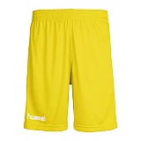 Шорты CORE POLY SHORTS 011-083-5007-S Взрослые Мужской ЖЕЛТЫЙ