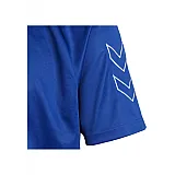 Футболка-поло ROOTS POLO 002-501-7045-XXL Дорослі Чоловіча СИНІЙ