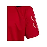 Футболка-поло ROOTS POLO 002-501-3062-XXL Взрослые Мужской КРАСНЫЙ