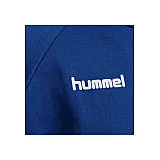 Кофта HMLGO COTTON ZIP HOODIE 204-230-7045-L Дорослі Чоловіча СИНІЙ