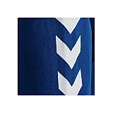 Кофта HMLGO COTTON ZIP HOODIE 204-230-7045-M Дорослі Чоловіча СИНІЙ