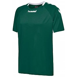 Футболка CORE TEAM JERSEY S/S 203-436-6140-S Взрослые Мужской ЗЕЛЁНЫЙ