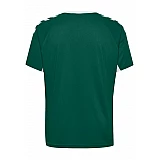Футболка CORE TEAM JERSEY S/S 203-436-6140-S Взрослые Мужской ЗЕЛЁНЫЙ
