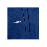 Худі HMLGO COTTON HOODIE 203-508-7045-M Дорослі Чоловіча СИНІЙ