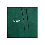 Худи HMLGO COTTON HOODIE 203-508-6140-XXXL Взрослые Мужской ЗЕЛЁНЫЙ