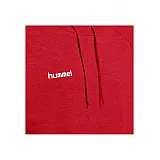 Худі HMLGO COTTON HOODIE 203-508-3062-L Дорослі Чоловіча ЧЕРВОНИЙ