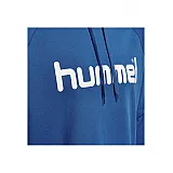 Худі HMLGO COTTON LOGO HOODIE 203-511-7045-S Дорослі Чоловіча СИНІЙ