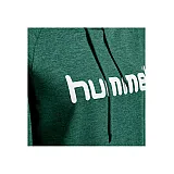 Худи женский HMLGO COTTON LOGO HOODIE WOMAN 203-517-6140-XXL Взрослые Женский ЗЕЛЁНЫЙ