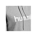 Худі жіночий HMLGO COTTON LOGO HOODIE WOMAN 203-517-2006-M Дорослі Жіноча СІРИЙ