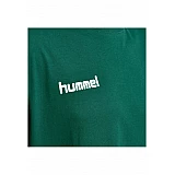 Футболка HMLGO COTTON T-SHIRT S/S 203-566-6140-S Взрослые Мужской ЗЕЛЁНЫЙ