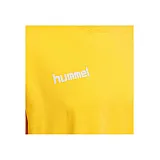 Футболка HMLGO COTTON T-SHIRT S / S 203-566-5001-S Дорослі Чоловіча ЖОВТИЙ