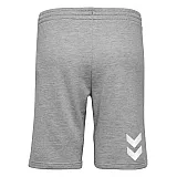 Шорты женские HMLGO COTTON BERMUDA SHORTS WOMAN 203-532-2006-S Взрослые Женский СЕРЫЙ