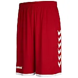 Шорти баскетбольні CORE BASKET SHORTS 011-087-3062-S Дорослі Чоловіча ЧЕРВОНИЙ