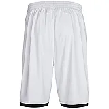 Шорти баскетбольні CORE BASKET SHORTS 011-087-9001-S Дорослі Чоловіча БІЛИЙ