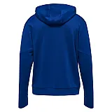 Кофта TECH MOVE ZIP HOOD 200-019-7045-L Дорослі Чоловіча СИНІЙ