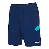 Шорти TECH MOVE TRAINING SHORTS 200-025-8744-S Дорослі Чоловіча СИНІЙ