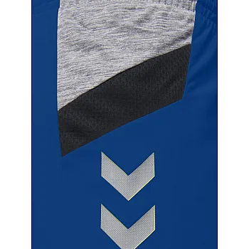 Шорты женские TECH MOVE POLY SHORTS WOMAN 200-010-7045-XS Взрослые Женский СИНИЙ