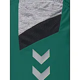 Шорты женские TECH MOVE POLY SHORTS WOMAN 200-010-6100-XS Взрослые Женский ЗЕЛЁНЫЙ