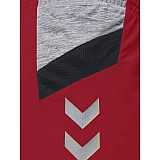 Шорты женские TECH MOVE POLY SHORTS WOMAN 200-010-3062-XS Взрослые Женский КРАСНЫЙ