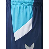 Шорты TECH MOVE POLY SHORTS 200-008-8744-M Взрослые Мужской СИНИЙ