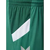 Шорты TECH MOVE POLY SHORTS 200-008-6100-S Взрослые Мужской ЗЕЛЁНЫЙ