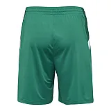Шорты TECH MOVE POLY SHORTS 200-008-6100-S Взрослые Мужской ЗЕЛЁНЫЙ