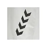 Манишка FUNDAMENTAL TRAINING BIB 005-002-9001-S Дорослі Унісекс БІЛИЙ