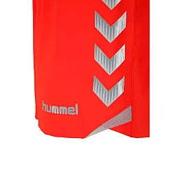 Шорты TECH-2 KNITTED SHORTS WOMEN 010-806-3015-XS Взрослые Женский КРАСНЫЙ