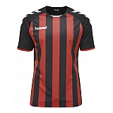 Футболка CORE STRIPED SS JERSEY 003-755-2030-S Дорослі Чоловіча