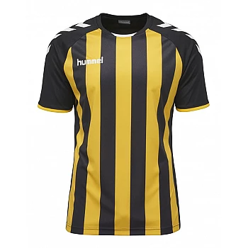 Футболка CORE STRIPED SS JERSEY 003-755-2036-S Дорослі Чоловіча