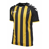 Футболка CORE STRIPED SS JERSEY 003-755-2036-S Дорослі Чоловіча