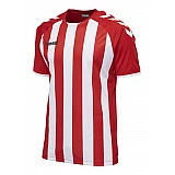 Футболка CORE STRIPED SS JERSEY 003-755-3946-S Взрослые Мужской КРАСНЫЙ