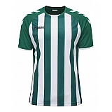 Футболка CORE STRIPED SS JERSEY 003-755-6131-S Взрослые Мужской ЗЕЛЁНЫЙ