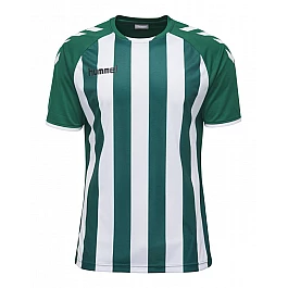 Футболка CORE STRIPED SS JERSEY 003-755-6131-S Взрослые Мужской ЗЕЛЁНЫЙ