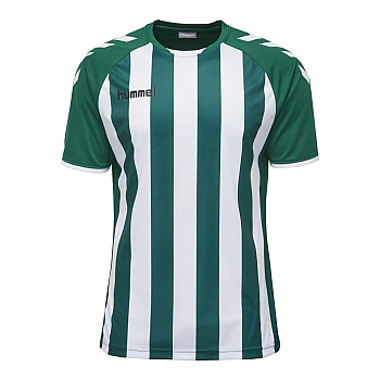 Футболка CORE STRIPED SS JERSEY 003-755-6131-S Взрослые Мужской ЗЕЛЁНЫЙ