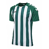 Футболка CORE STRIPED SS JERSEY 003-755-6131-S Взрослые Мужской ЗЕЛЁНЫЙ