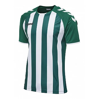 Футболка CORE STRIPED SS JERSEY 003-755-6131-S Взрослые Мужской ЗЕЛЁНЫЙ